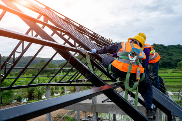 Best Residential Roof Replacement  in St Clair, MI